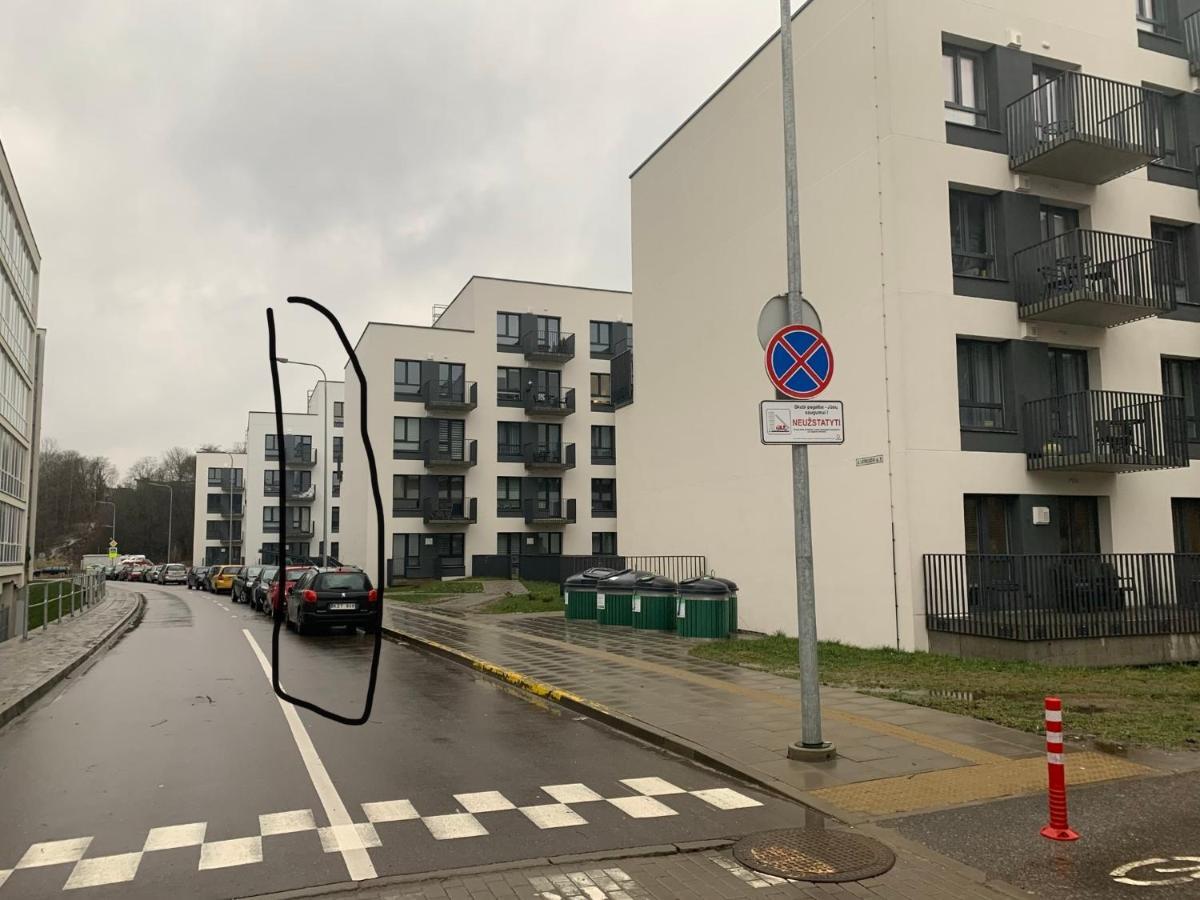 Near Ozas Studio Вильнюс Экстерьер фото